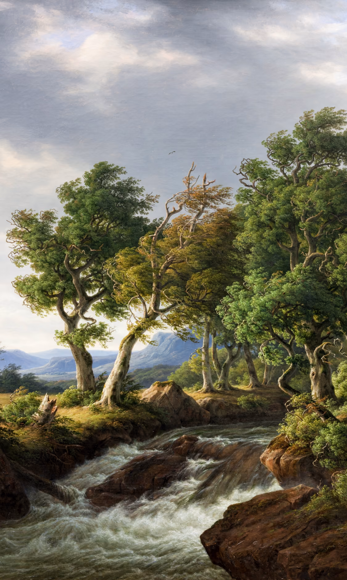 A lush, undisturbed forest river landscape, used to represent low-carbon hosting.